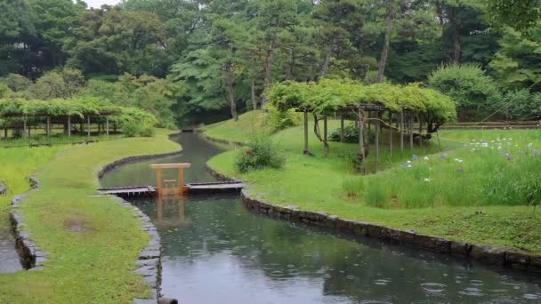 Japanska trädgården i Korakuen Tokyo - Tokyo, Japan - 12 juni 2018 — Stockvideo