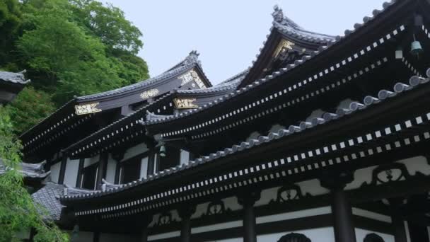 Schöne Dächer des Hase-Dera Tempels in Kamakura — Stockvideo