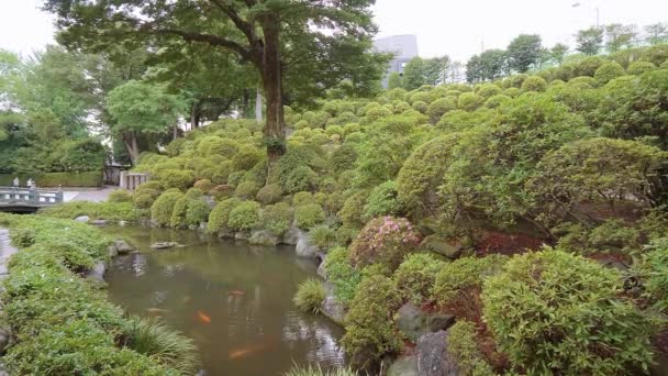 Nezu Jinja Heiligdom - de beroemde Shinto Heiligdom in Tokio Bunkyo — Stockvideo