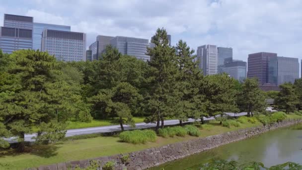 Остатки замка Эдо в Имперском замковом саду в Токио — стоковое видео