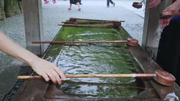 Fonte de purificação ritual em um templo japonês — Vídeo de Stock