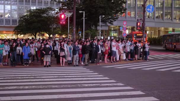 Centinaia di persone che attraversano la strada a Tokyo Shibuya - TOKYO, GIAPPONE - 12 GIUGNO 2018 — Video Stock