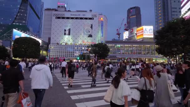 Křížení Shibuya v Tokiu - na frekventovaném místě - Tokio, Japonsko - 12 červen 2018 — Stock video