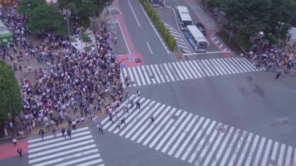 Famoso cruce de Shibuya en Tokio - vista aérea - TOKYO, JAPÓN - 12 DE JUNIO DE 2018 — Vídeos de Stock