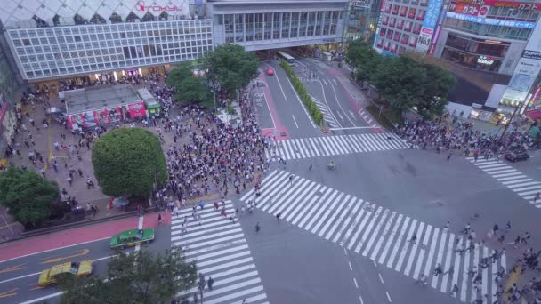 Famoso cruce de Shibuya en Tokio - vista aérea - TOKYO, JAPÓN - 12 DE JUNIO DE 2018 — Vídeos de Stock