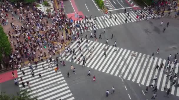 Shibuya Crossing Tokyo - meşgul bir yer — Stok video