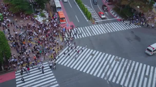Ünlü Shibuya Crossing Tokyo - havadan görünümü — Stok video