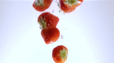 Taze çilek sonbaharda suya - yavaş vurdu