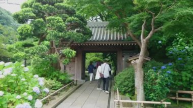 Japonya tarzı bahçe Kamakura - Tokyo, Japonya - 17 Haziran 2018