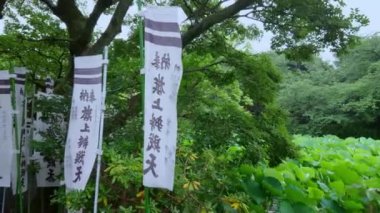 Şinto tapınak Kamakura - ünlü Tsurugaoka Hachiman-gu tapınak - Kamakura, Japonya - 18 Haziran 2018