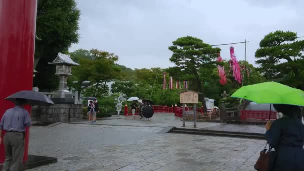 Kuil Shinto di Kamakura - Kuil Tsurugaoka Hachiman-gu yang terkenal - KAMAKURA, JAPAN - JUNE 18, 2018 — Stok Video