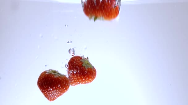 Fresh strawberries fall into water - slow motion shot — Stock Video