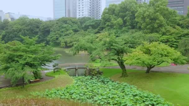Giardino Giapponese a Korakuen Tokyo - TOKYO, GIAPPONE - 12 GIUGNO 2018 — Video Stock