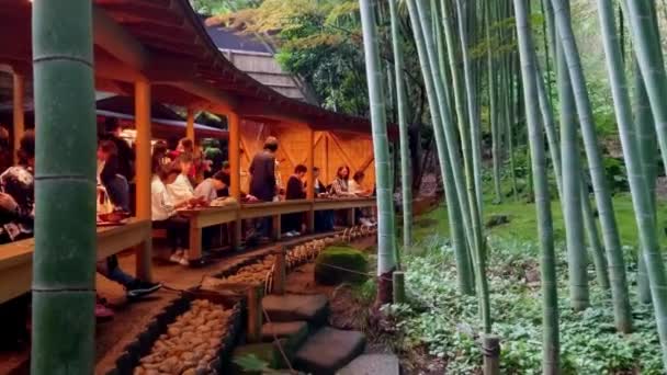 Удивительный чайный домик в японском бамбуковом лесу - ТОКИО, ЯПОНИЯ - 17 ИЮНЯ 2018 — стоковое видео