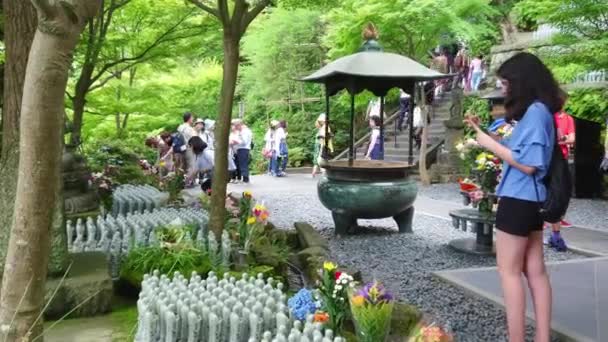 Знаменитий Hase-Dera Temple в Японії Камакура - Токіо, Японія - 12 червня 2018 — стокове відео
