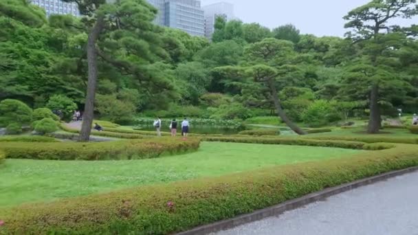 東京 - 東京都 - 2018 年 6 月 17 日に帝国宮殿の公園の東庭 — ストック動画