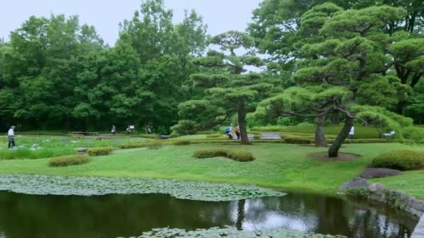 East Garden of Imperial Palace Park in Tokyo - TOKYO, JAPAN - JUNE 17, 2018 — Stock Video