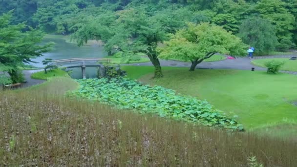 Taman Jepang di Korakuen Tokyo - TOKYO, JAPAN - JUNE 12, 2018 — Stok Video