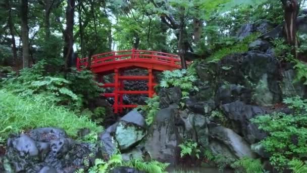 Hermoso puente en el Jardín Japonés en Korakuen Tokio - TOKYO, JAPÓN - 12 DE JUNIO DE 2018 — Vídeos de Stock