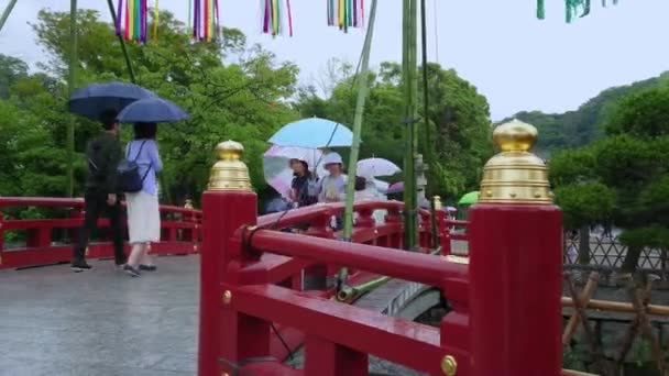 Sacrario scintoista a Kamakura - il famoso santuario Tsurugaoka Hachiman-gu - KAMAKURA, GIAPPONE - 18 GIUGNO 2018 — Video Stock