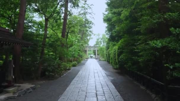 Walks at a Shinto Shrine in Kamakura - KAMAKURA, JAPAN - JUNE 18, 2018 — Stock Video