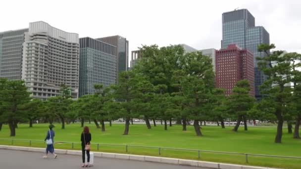 Imperial Palace Park Tokyo - Tokyo, Japonya - 17 Haziran 2018 — Stok video