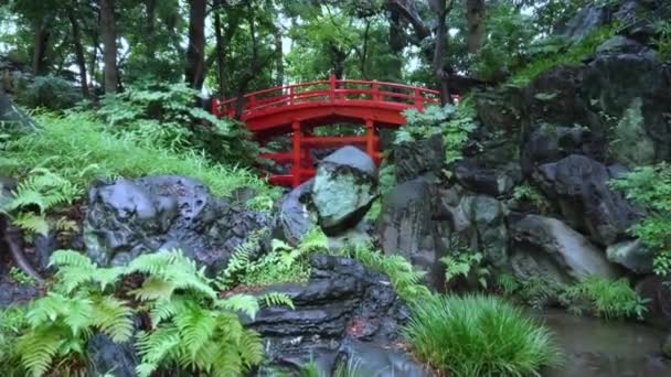 Hermoso puente en el Jardín Japonés en Korakuen Tokio - TOKYO, JAPÓN - 12 DE JUNIO DE 2018 — Vídeo de stock