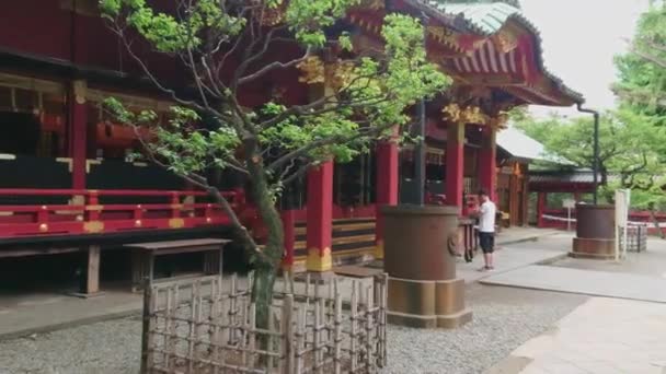 Santuário de Nezu Jinja - o famoso Santuário de Xintoísmo em Tóquio Bunkyo - TOKYO, JAPÃO - JUNHO 17, 2018 — Vídeo de Stock