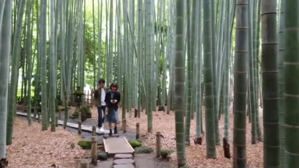 竹林 - レクリエーションのための素晴らしい場所 - 東京, 日本 - 2018 年 6 月 17 日 — ストック動画
