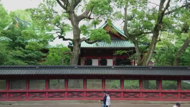 Nezu Jinja tapınak - Tokyo Bunkyo içinde ünlü Shinto tapınak - Tokyo, Japonya - 17 Haziran 2018 — Stok video