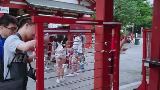 Omikuji - κακή τύχη έγγραφα σε ένα βουδιστικό ναό ή Σιντοϊστικό ναό - Τόκιο, Ιαπωνία - 12 Ιουνίου 2018 — Αρχείο Βίντεο