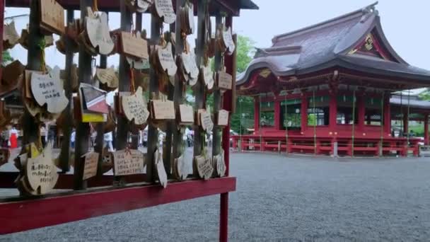 Цуругаока Хатіман gu Shrine - храм у Камакура - Камакура, Японія - 18 червня 2018 — стокове відео