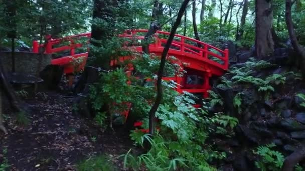 Schöne brücke am japanischen garten in korakuen tokyo - tokyo, japan - 12. juni 2018 — Stockvideo