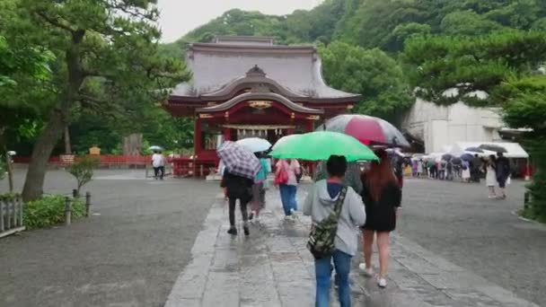 Shinto-schrijn in Kamakura - de beroemde Tsurugaoka Hachiman-gu jinja - Kamakura, Japan - 18 juni, 2018 — Stockvideo