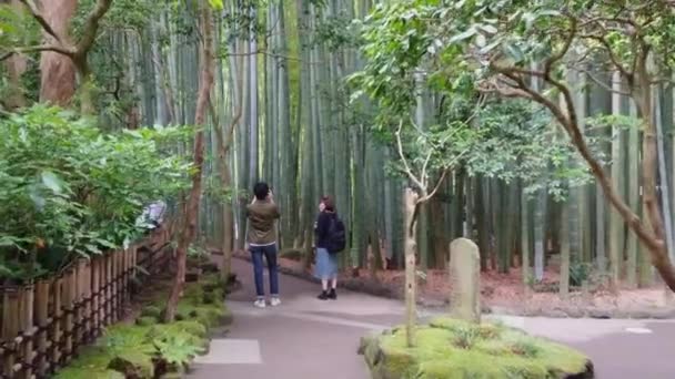 Spaziergang durch einen Bambuswald in Japan - tokyo, japan - 17. Juni 2018 — Stockvideo