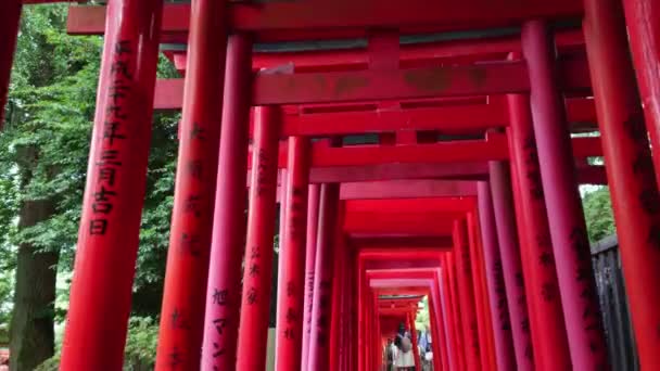 เส้นทางประตูแดงที่มีชื่อเสียงของศาลเจ้าเนซุจินจาในโตเกียว โตเกียว ประเทศญี่ปุ่น 17 มิถุนายน พ.ศ. 2561 — วีดีโอสต็อก