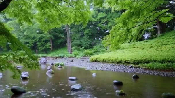 Japanese Garden in Korakuen Tokyo - TOKYO, JAPAN - JUNE 12, 2018 — Stock Video