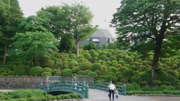 Santuario Nezu Jinja - il famoso santuario shintoista di Tokyo Bunkyo - TOKYO, GIAPPONE - 17 GIUGNO 2018 — Video Stock