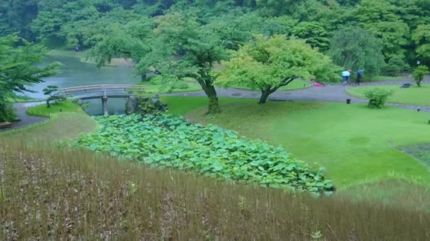 Kebun Korakuen di Tokyo - tempat yang indah - TOKYO, JAPAN - JUNE 12, 2018 — Stok Video