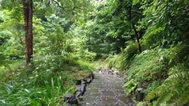 Jardin japonais à Korakuen Tokyo - TOKYO, JAPON - 12 JUIN 2018 — Video