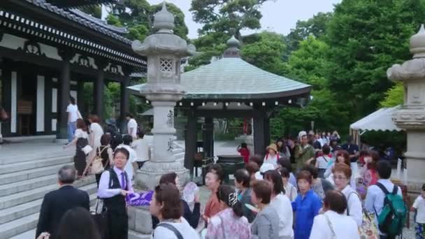 Templo de Hase Dera famoso em Kamakura Japão - TOKYO, JAPÃO - JUNHO 12, 2018 — Vídeo de Stock