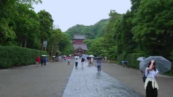 Sacrario scintoista a Kamakura - il famoso santuario Tsurugaoka Hachiman-gu - KAMAKURA, GIAPPONE - 18 GIUGNO 2018 — Video Stock