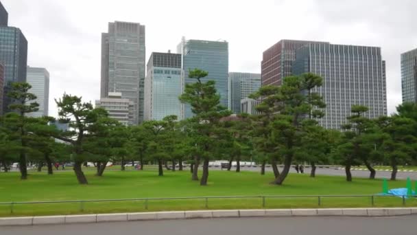東京 - 東京都 - 2018 年 6 月 17 日に帝国宮殿の公園 — ストック動画