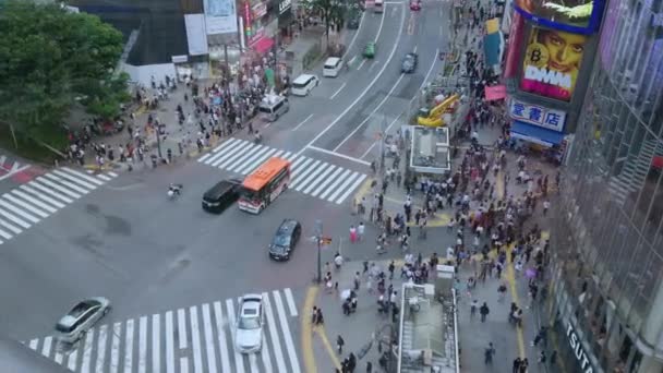 Знаменитый переход Сибуя в Токио - вид с воздуха - ТОКИО, Япония - 12 июня 2018 г. — стоковое видео