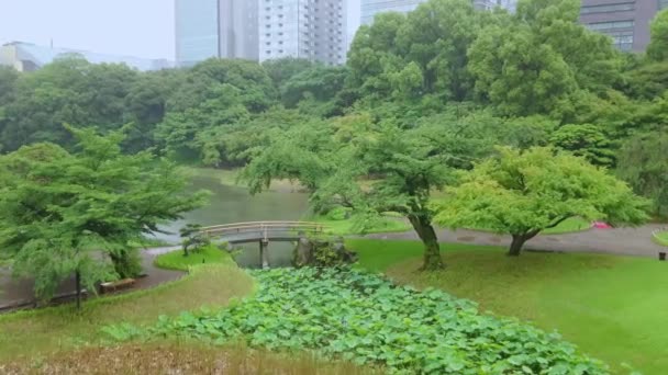 Japanese Garden in Korakuen Tokyo - TOKYO, JAPAN - JUNE 12, 2018 — Stock Video