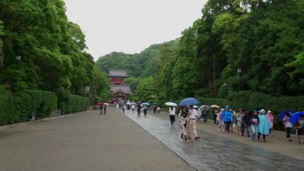 Loopbrug naar een Shinto-Shrine in Kamakura - de beroemde Tsurugaoka Hachiman-gu jinja - Kamakura, Japan - 18 juni, 2018 — Stockvideo