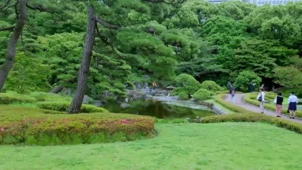 Імператорський палац парк у Токіо - Токіо, Японія - 17 червня 2018 — стокове відео