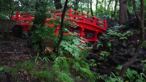 Jardin japonais à Korakuen Tokyo - TOKYO, JAPON - 12 JUIN 2018 — Video