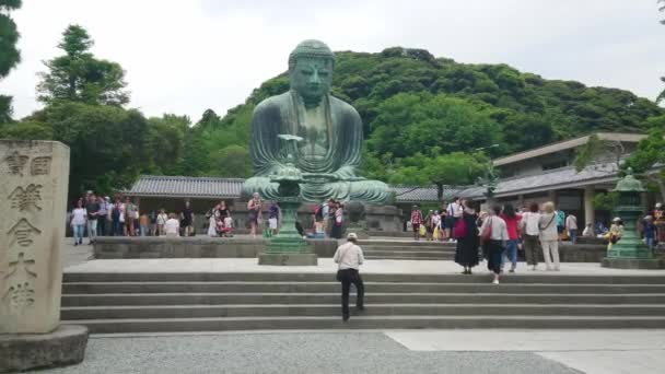 Великий Будда в Камакуре Дайбуцу - ТОКИО, ЯПОНИЯ - 12 июня 2018 года — стоковое видео