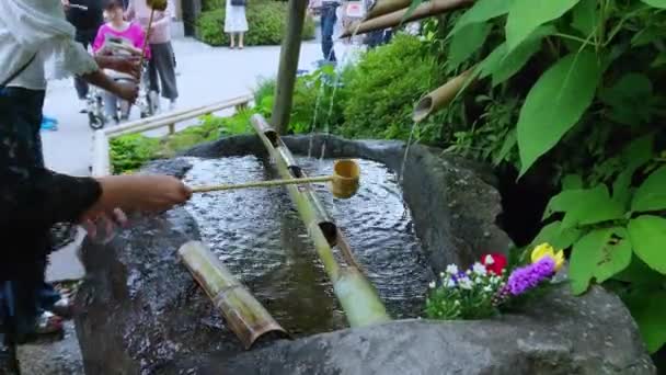 Rituální očista fontána na japonský chrám - Tokio, Japonsko - 12. června 2018 — Stock video